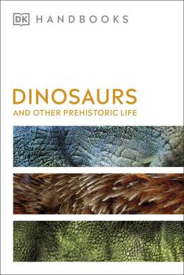 Dinosaurs and Other Prehistoric Life - 1